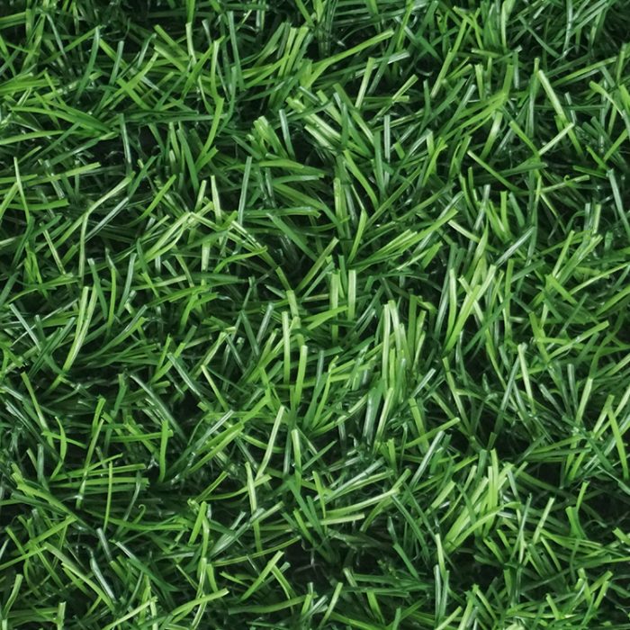 Rumput Sintetis RumputIndo Swiss RIS
